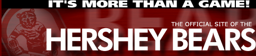 bears banner